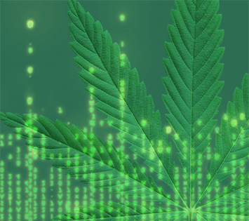 optima-CBD-XN-product-image
